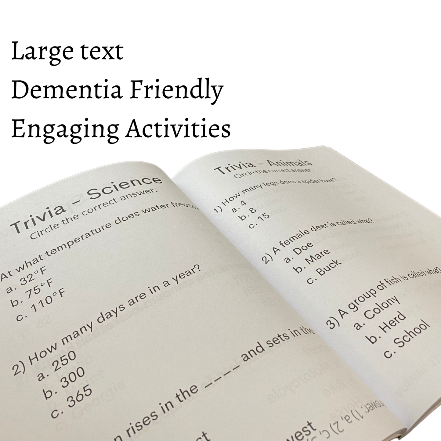 The Other Activity Book for Seniors